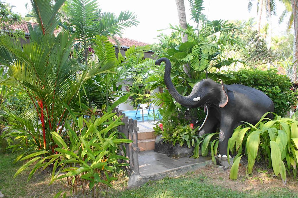 Pahalage Guesthouse Beruwala Exteriér fotografie