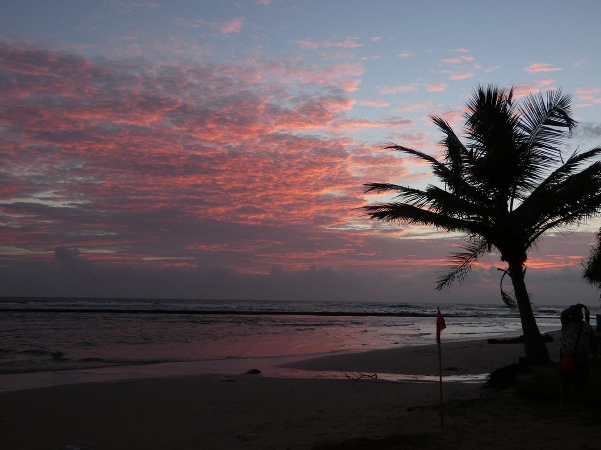 Pahalage Guesthouse Beruwala Exteriér fotografie