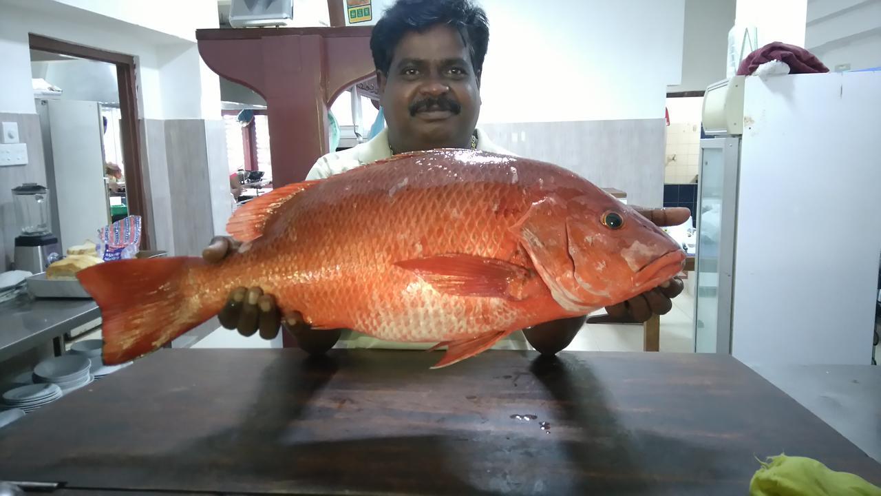 Pahalage Guesthouse Beruwala Exteriér fotografie
